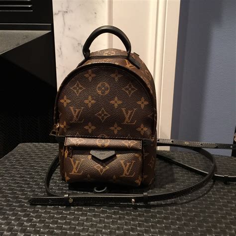 lv mini palm spring|louis vuitton palm springs mm.